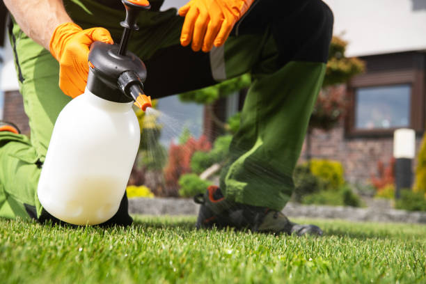 Best Pest Control Near Me in Walbridge, OH