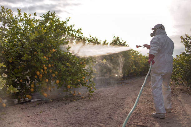 Best Residential Pest Control  in Walbridge, OH