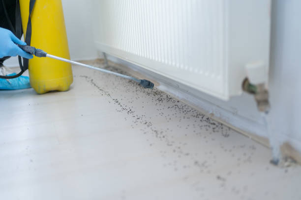 Best Exterminator Services  in Walbridge, OH